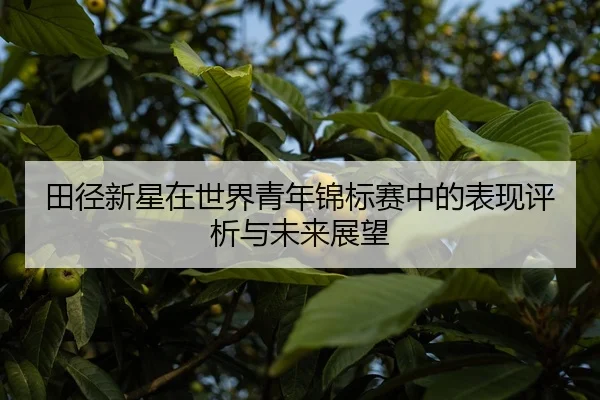 tian-jing-xin-xing-zai-shi-jie-qing-nian-jin-biao-sai-zhong-de-biao-xian-ping-xi-yu-wei-lai-zhan-wang-2-401.jpg